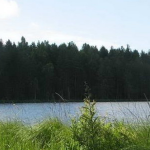 прием лома юр лицо