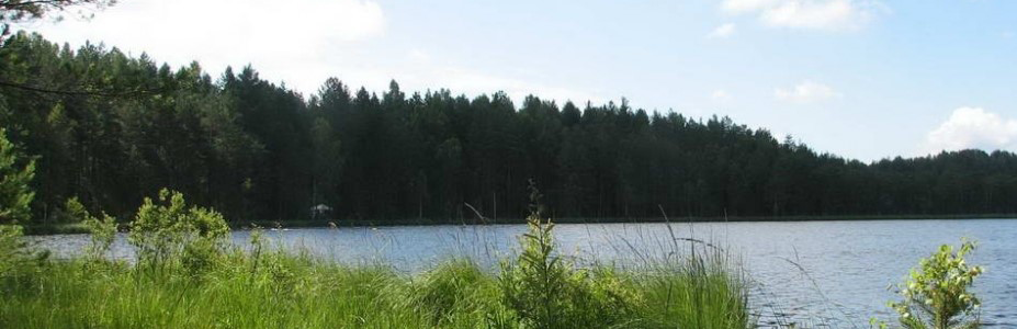 прием лома юр лицо